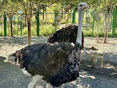 -水上乐园·欢乐世界