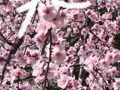 -钟山体育运动公园