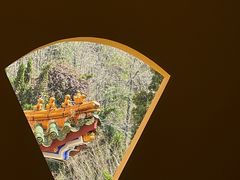 -天目山大树王景区