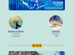 -西安曲江海洋极地公园