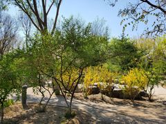 -大兴滨河森林公园