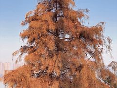 -长沙市青少年宫