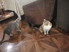 -隅cafe(傅厚岗店)