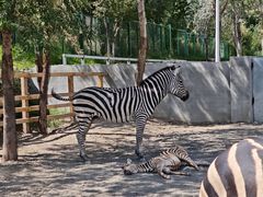 -水上乐园·欢乐世界