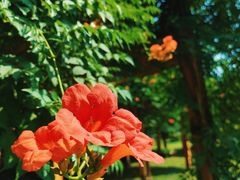 -海文实验幼儿园