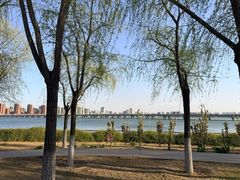 -天津金海湖