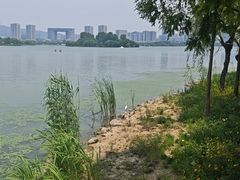 -渤公岛生态公园