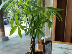 -那家小馆•北京菜•烤鸭(香山店)