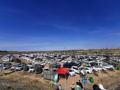 -鄂尔多斯野生动物园