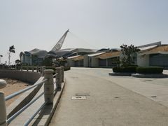 -石老人观光园