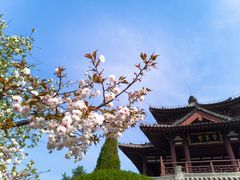 -西安青龙寺遗址景区