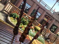 -七彩云南欢乐世界