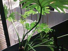 -良木缘咖啡西餐(太古里店)