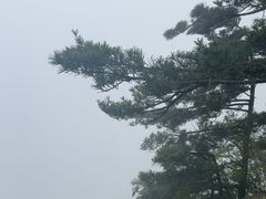 -洛阳白云山景区