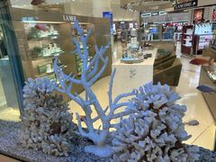 -王权免税店(普吉市区店)