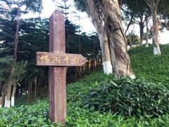 -五通灯塔公园