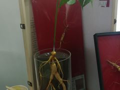 -沈阳国际会展中心管理有限公司