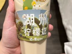 -猫的魔法密林(衣裳街店)