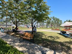 -上海山野camping·户外天幕烧烤·团建拓展营地