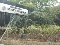 -上海崇明金茂凯悦酒店