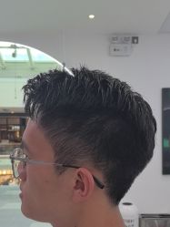 -YESIDO椰岛造型