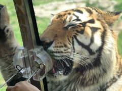 -西安秦岭野生动物园