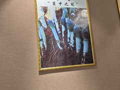 -菌之家·专业纯野生菌火锅·特色炒菌