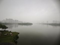 -飞来湖湿地公园