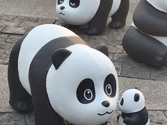 -星光大道