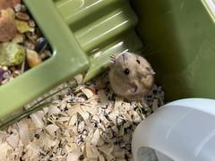 -FAELING PETS美天灵宠物(合生汇店)