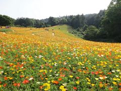 -保利石象湖景区