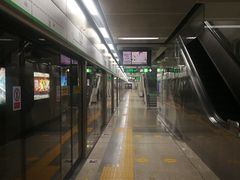 -竹子林(地铁站)