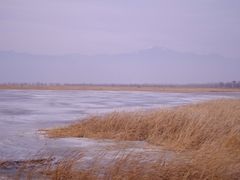 -野鸭湖国家湿地公园