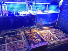 水产区-捞围鲜·港式打边炉(海阳路店)