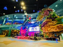 -青岛嘉年华主题乐园