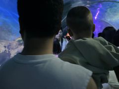 -太奥幻太奇海洋馆