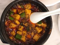 -陈麻婆豆腐总店