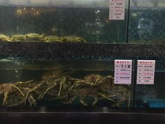 水产区-宝燕壹号(徐汇店)