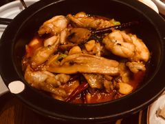 黑松露牛肝菌焖牛蛙-云海肴·汽锅鸡·云南菜(天山百盛优客店)