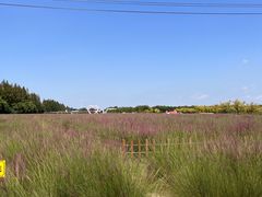 -嘉北郊野公园