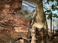 -湖南省地质博物馆