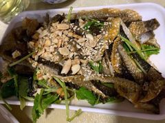 -章记正宗南岗鱼蛋火锅