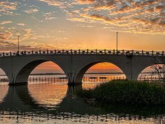 -莲花岛景区