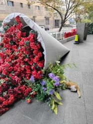 -上海玫瑰医疗美容医院