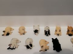 -泡泡玛特POPMART(蓝色港湾店)