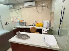 -思琪宠物医院(昆山花桥店)