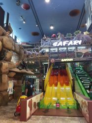 -卡通尼·Safari非洲探索乐园·生日会(金桥国际商业广场店)