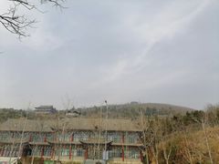 -石老人观光园