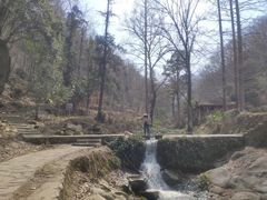 -素山寺森林公园