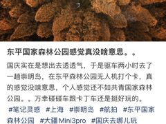 -东平国家森林公园